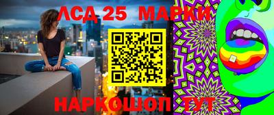 мяу мяу кристалл Новозыбков