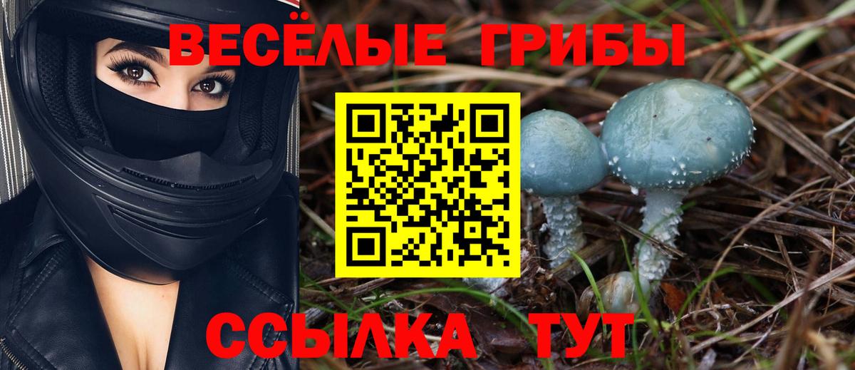 Галлюциногенные грибы Psilocybe Сарапул