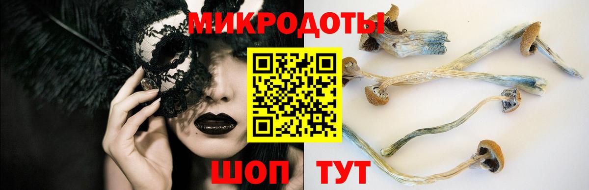 Сарапул  Псилоцибиновые грибы MAGIC MUSHROOMS  Вход с VPN 